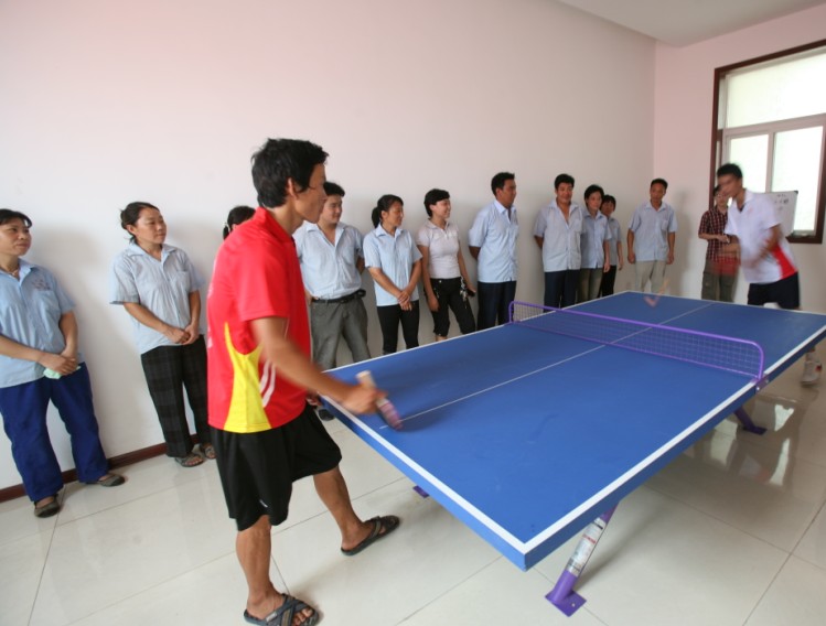 The table tennis match